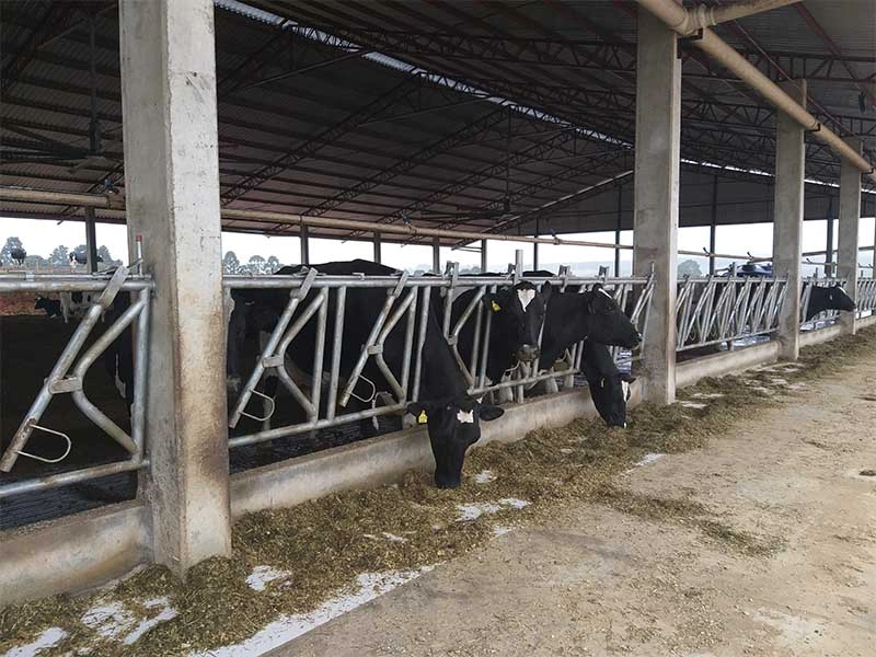 AS Projetos e Pré Moldados